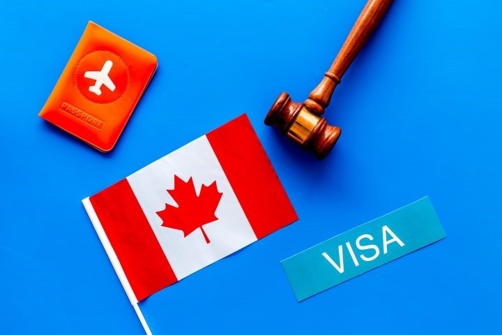 ارائه لیست تمام مشاغلی که می توانند با ویزای خود اشتغالی کانادا مهاجرت کنند.