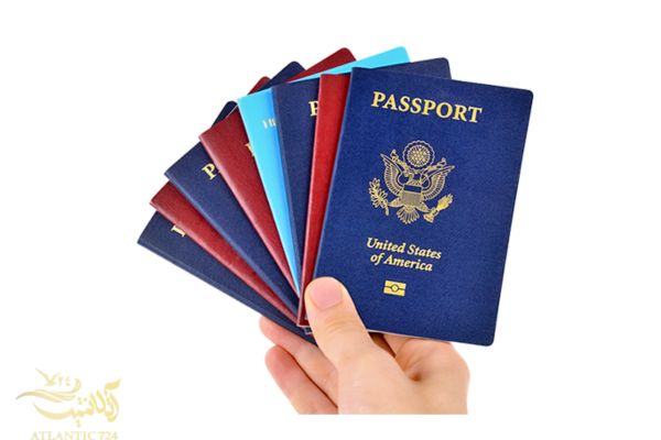 انواع پیکاپ پاسپورت چیست؟